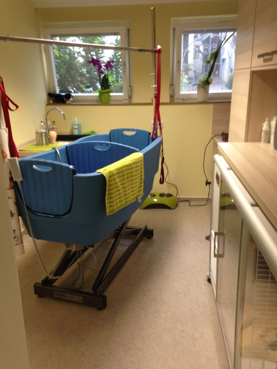 Waschbecken für Hunde im Hundesalon