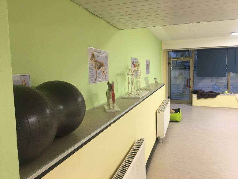 Hundesalon-Räumlichkeiten