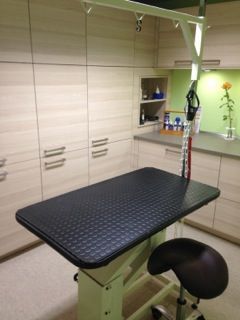 Behandlungstisch Tierphysio