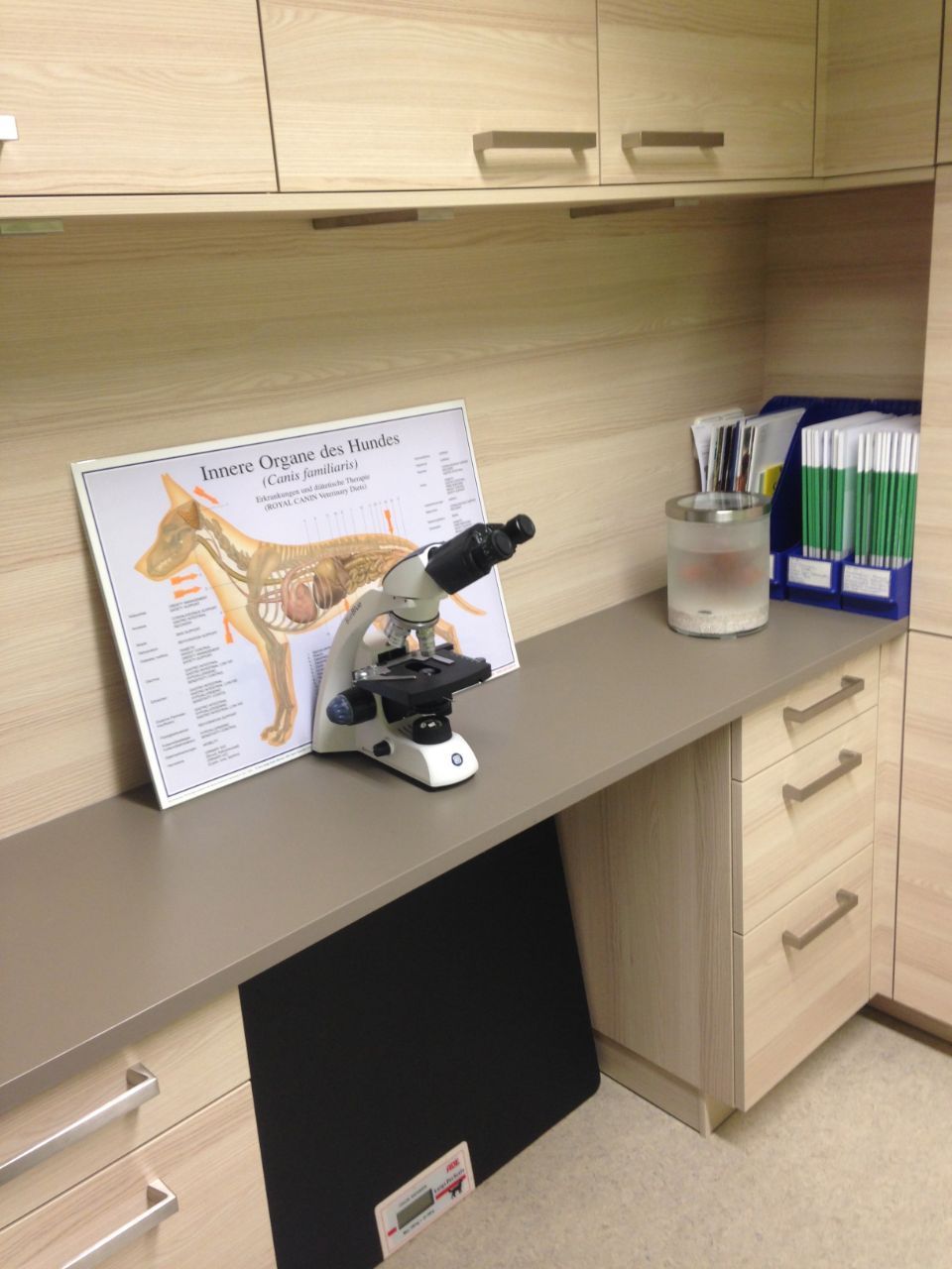 Räumlichkeiten Physio Praxis Pfotentreff