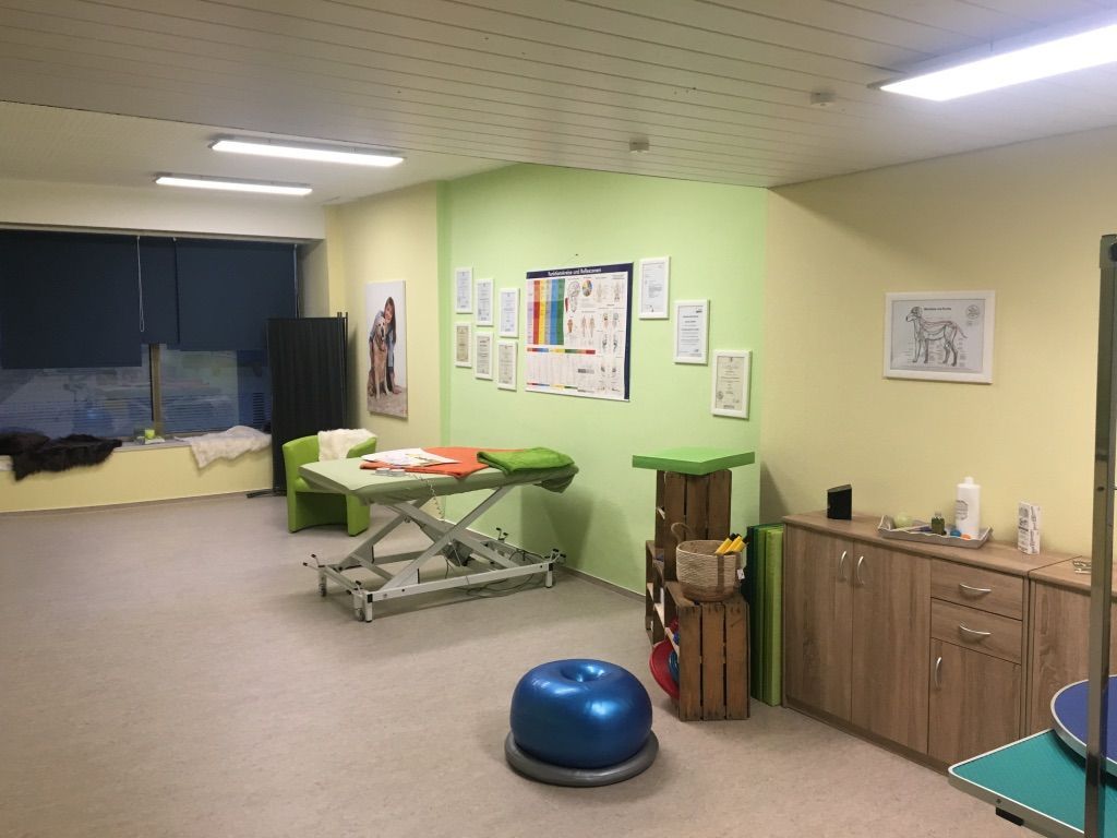 Räumlichkeiten Physio Praxis Pfotentreff