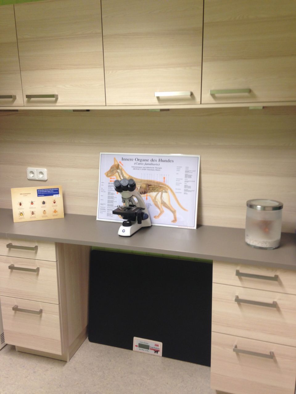 Räumlichkeiten Physio Praxis Pfotentreff