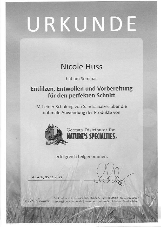 Nicole Huss Urkunde