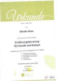 Eine Urkunde mit der Aufschrift Nicole Huss