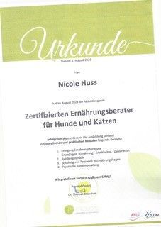 Eine Urkunde mit der Aufschrift Nicole Huss