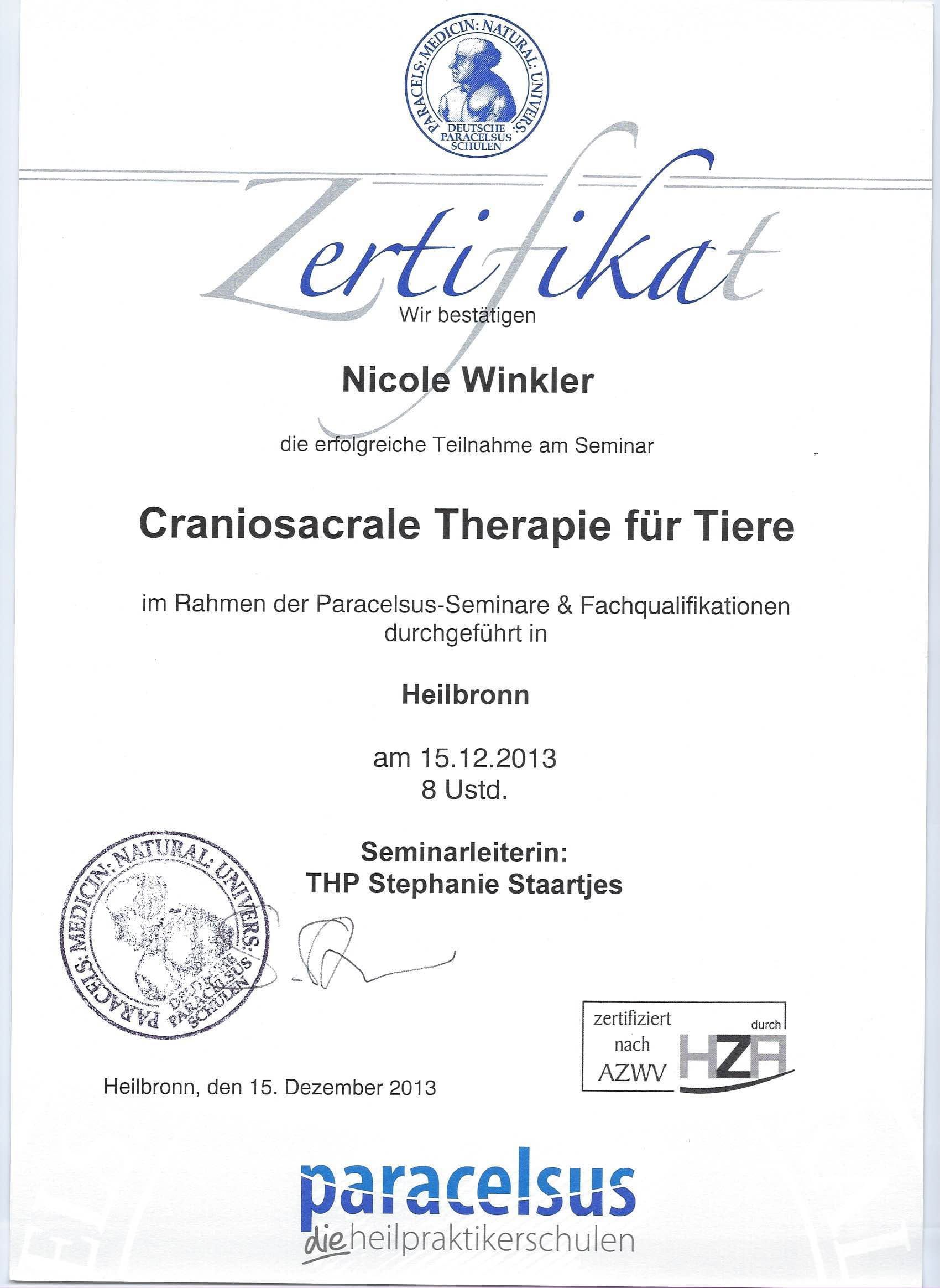 Zertifikat der Praxisleitung