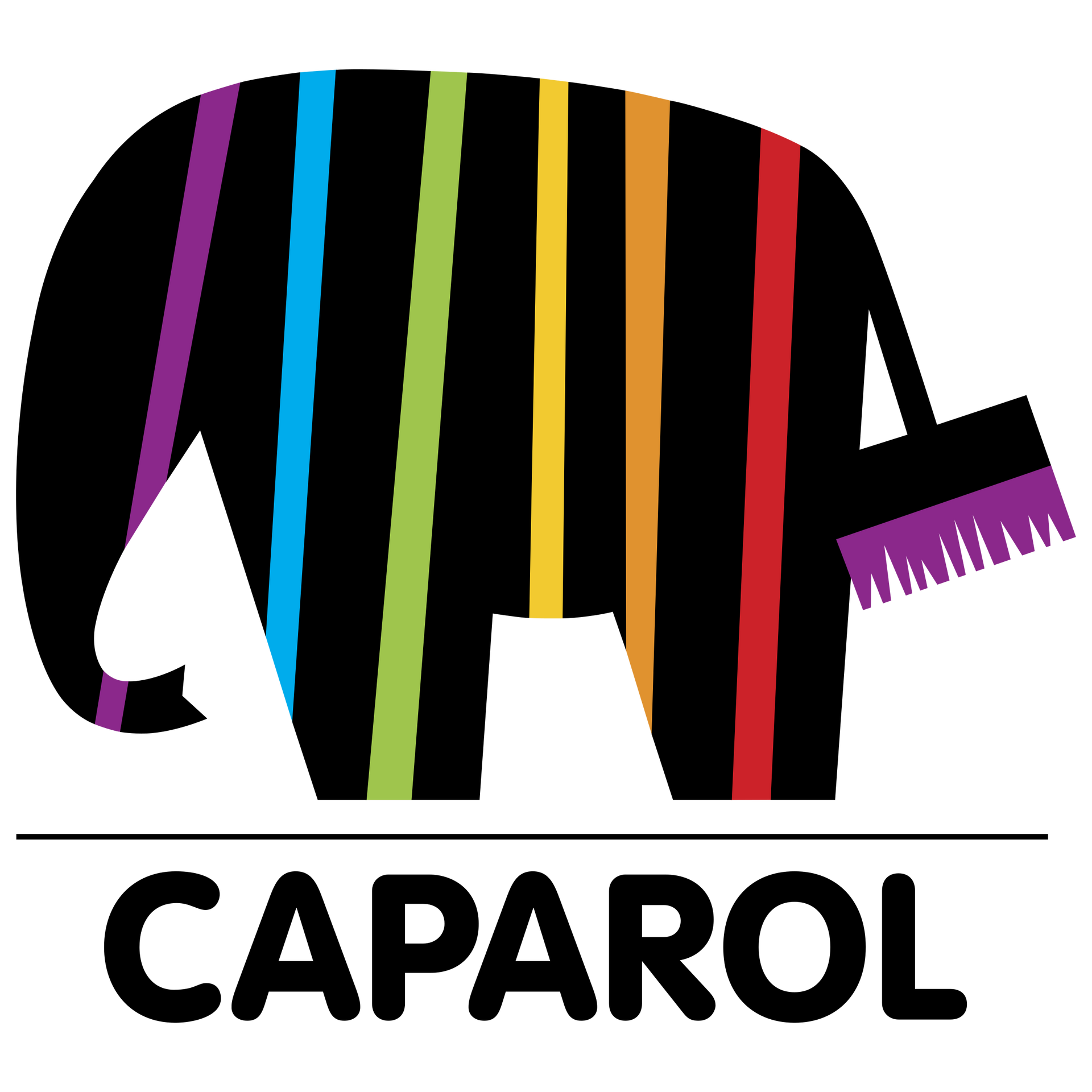 Logo de l'entreprise CAPAROL