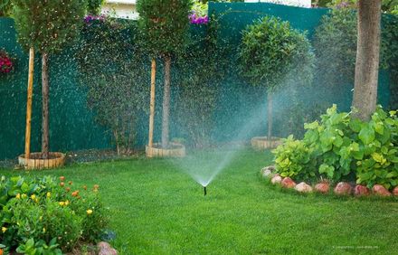 Ein Gartensprenger bewässert einen saftig grünen Rasen neben Blumenbeeten und einem mit Weinreben bewachsenen Zaun.