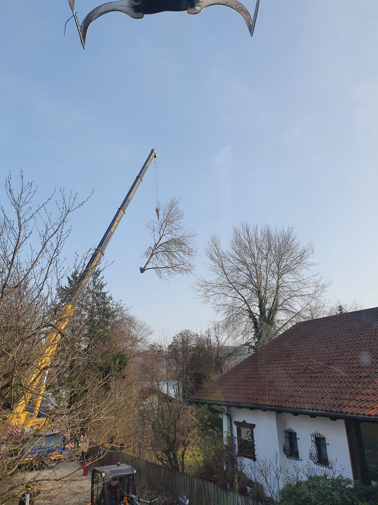 Hecke schneiden mit einer Kettensäge
