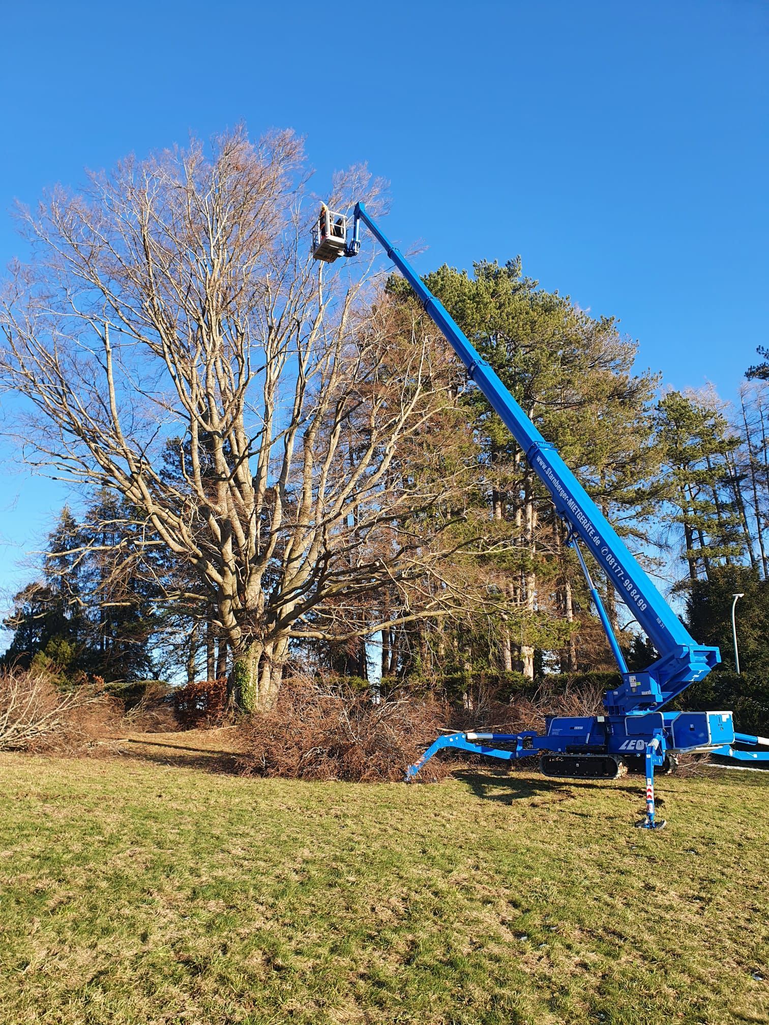 Seilbefestigung am Baum anbringen
