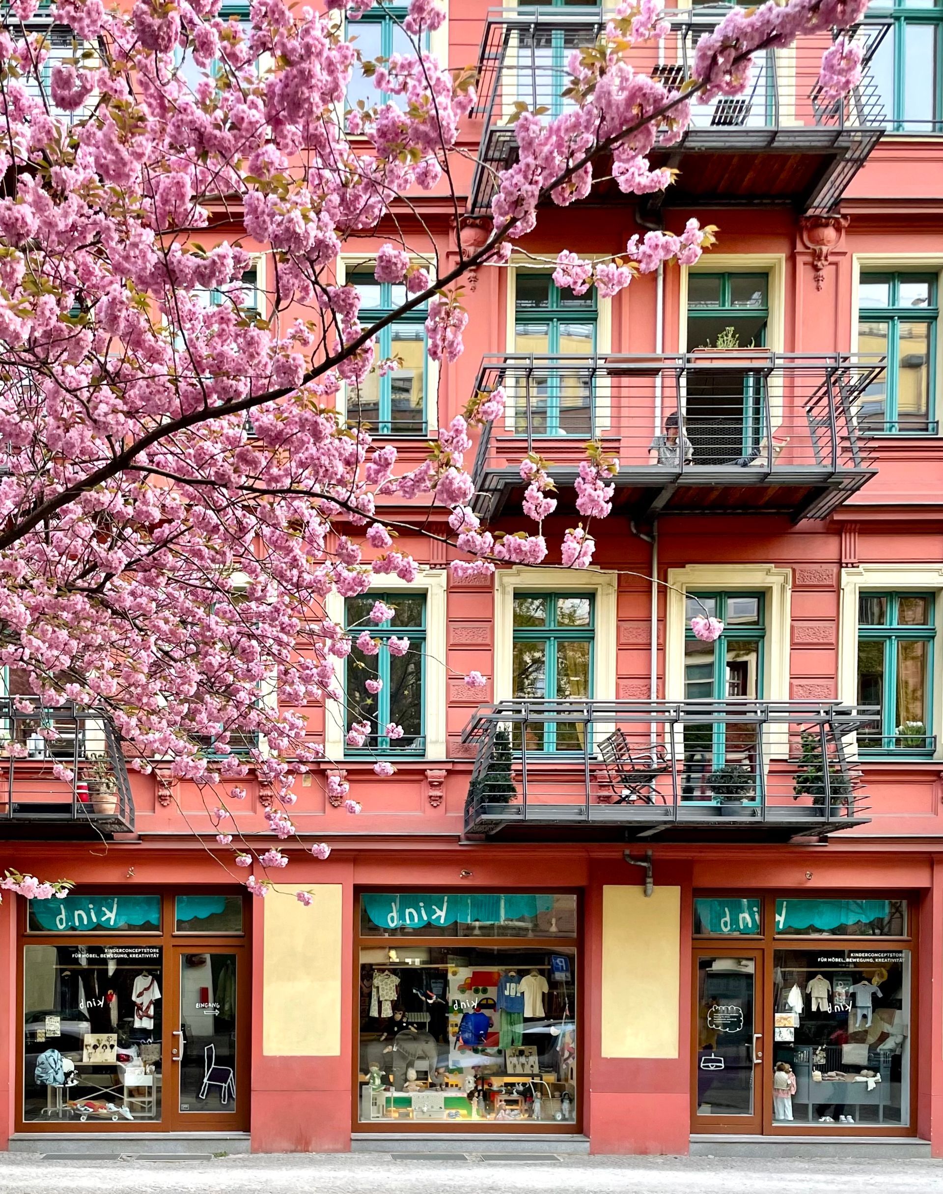 d.nik im Kollwitzkiez