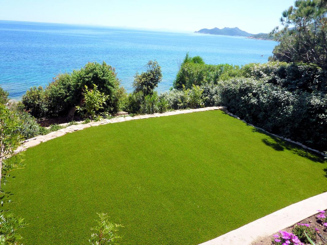 Jardin avec gazon bien vert