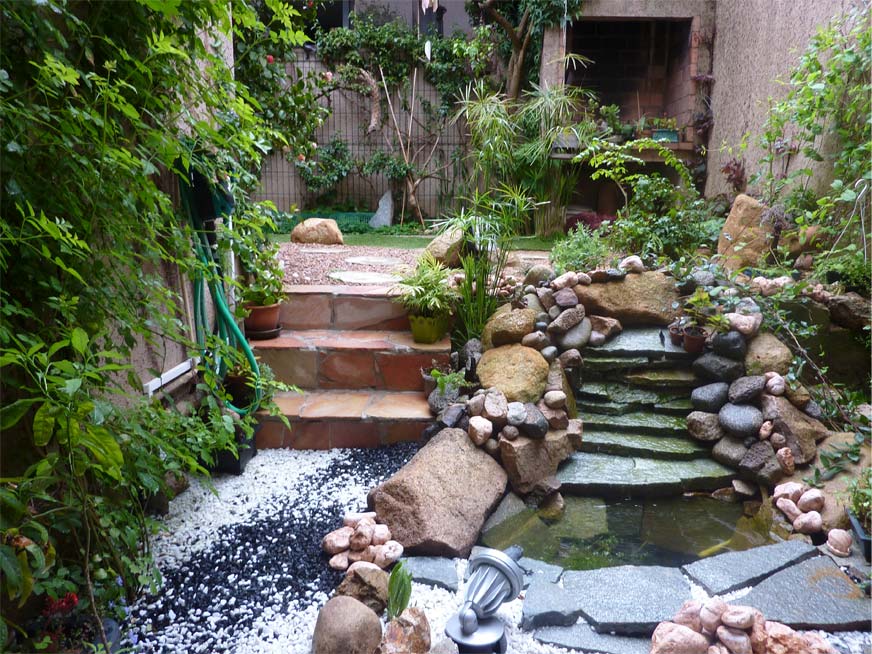 Aménagement aquatique avec bassin