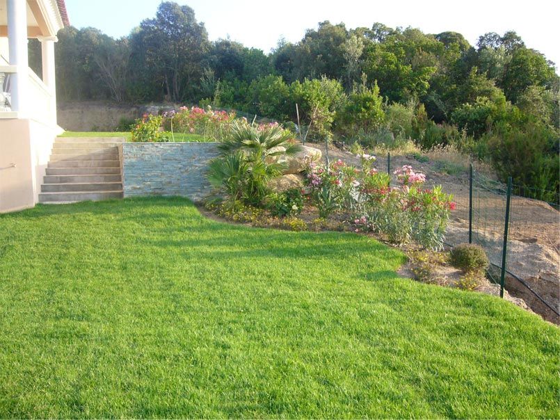 Gazon naturel de couleur vert vif