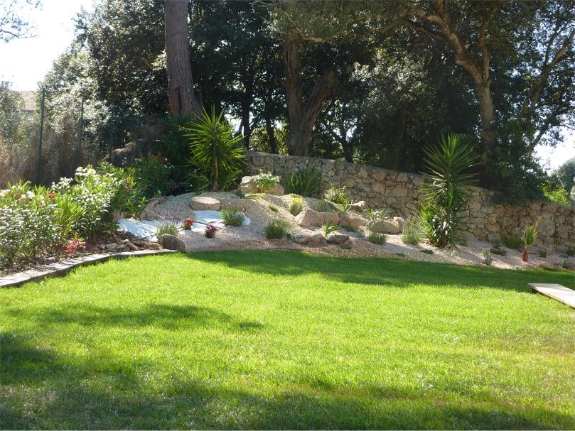 Beau jardin avec gazon végétal