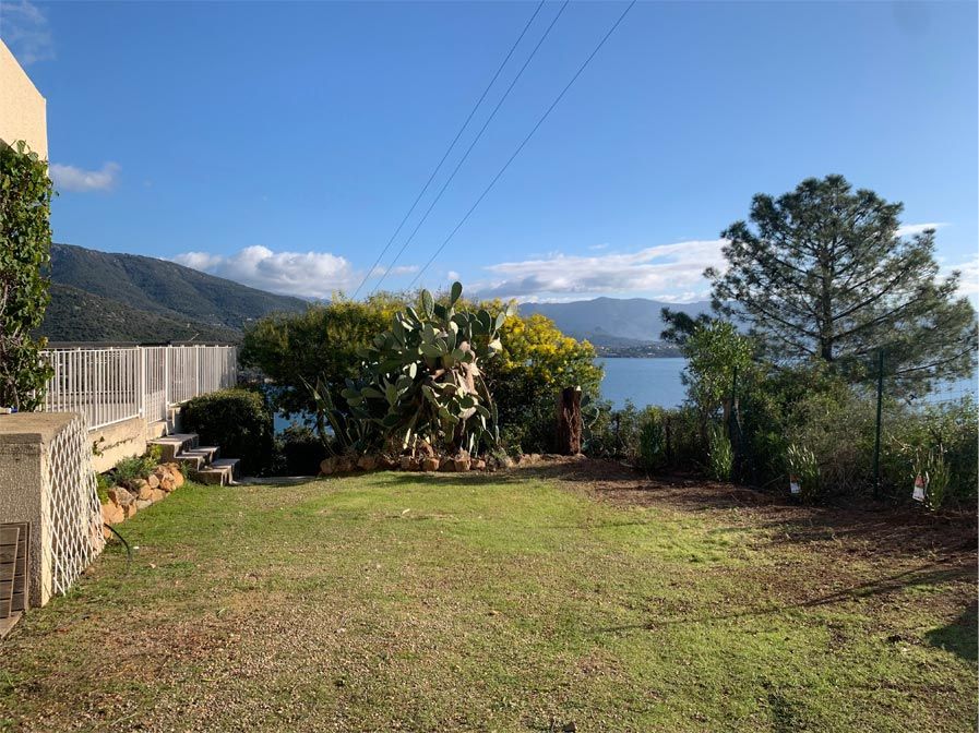 Gazon coupé par notre entreprise de paysagistes