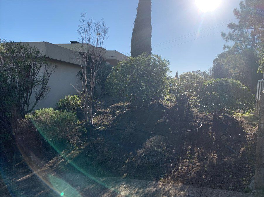 Arrosage de jardin pour un entretien régulier