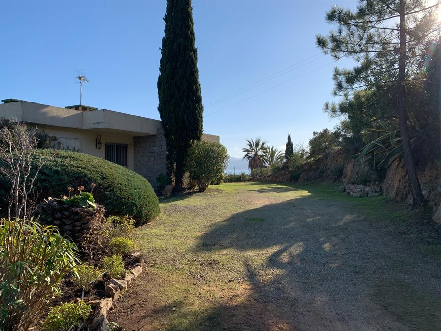 Entretien de pelouse à Ajaccio