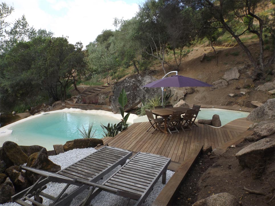 Piscine avec terrasse en bois
