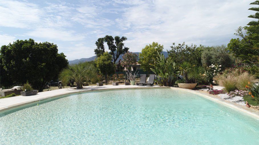 Piscine de forme libre