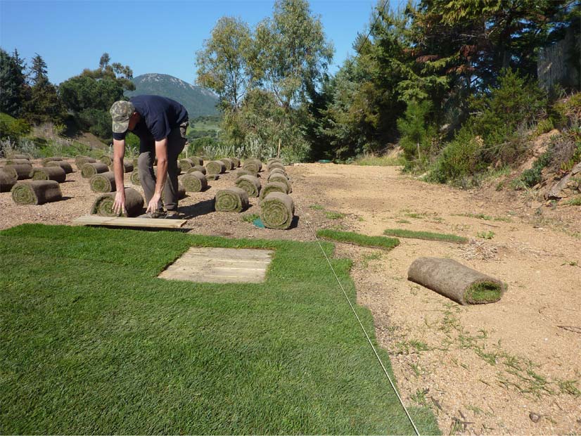 Personnel de notre équipe qui pose du gazon naturel