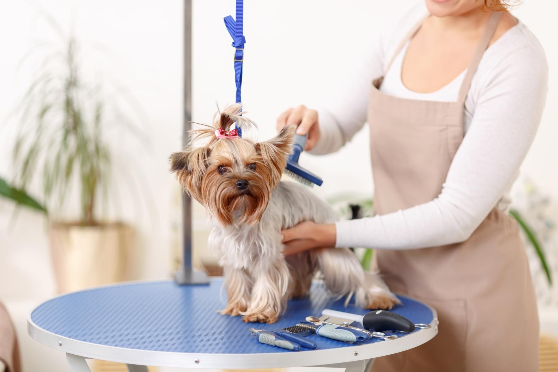 Hundesalon in Crailsheim