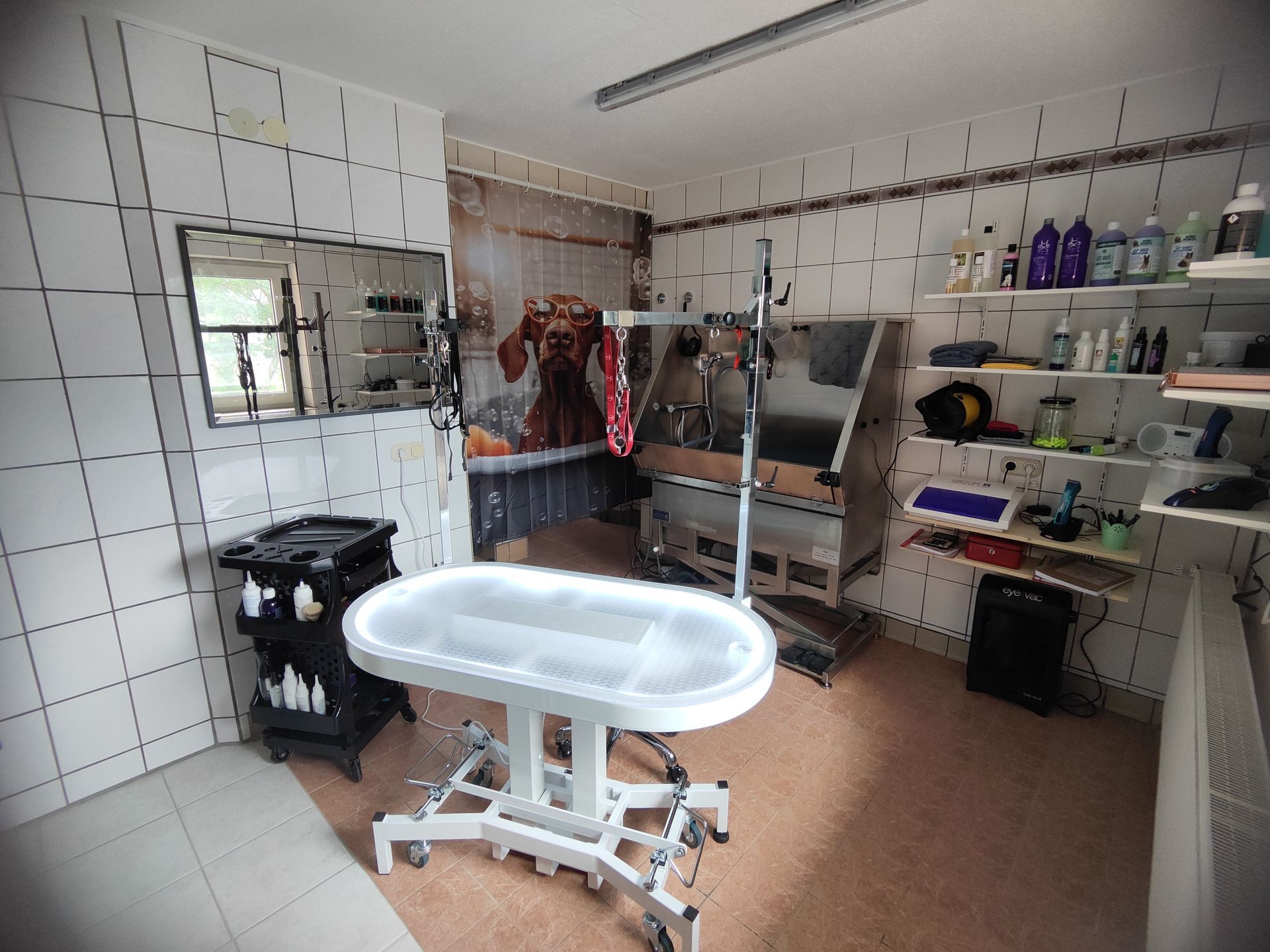 Ein Raum mit einem weißen Tisch und einem Hundebild an der Wand