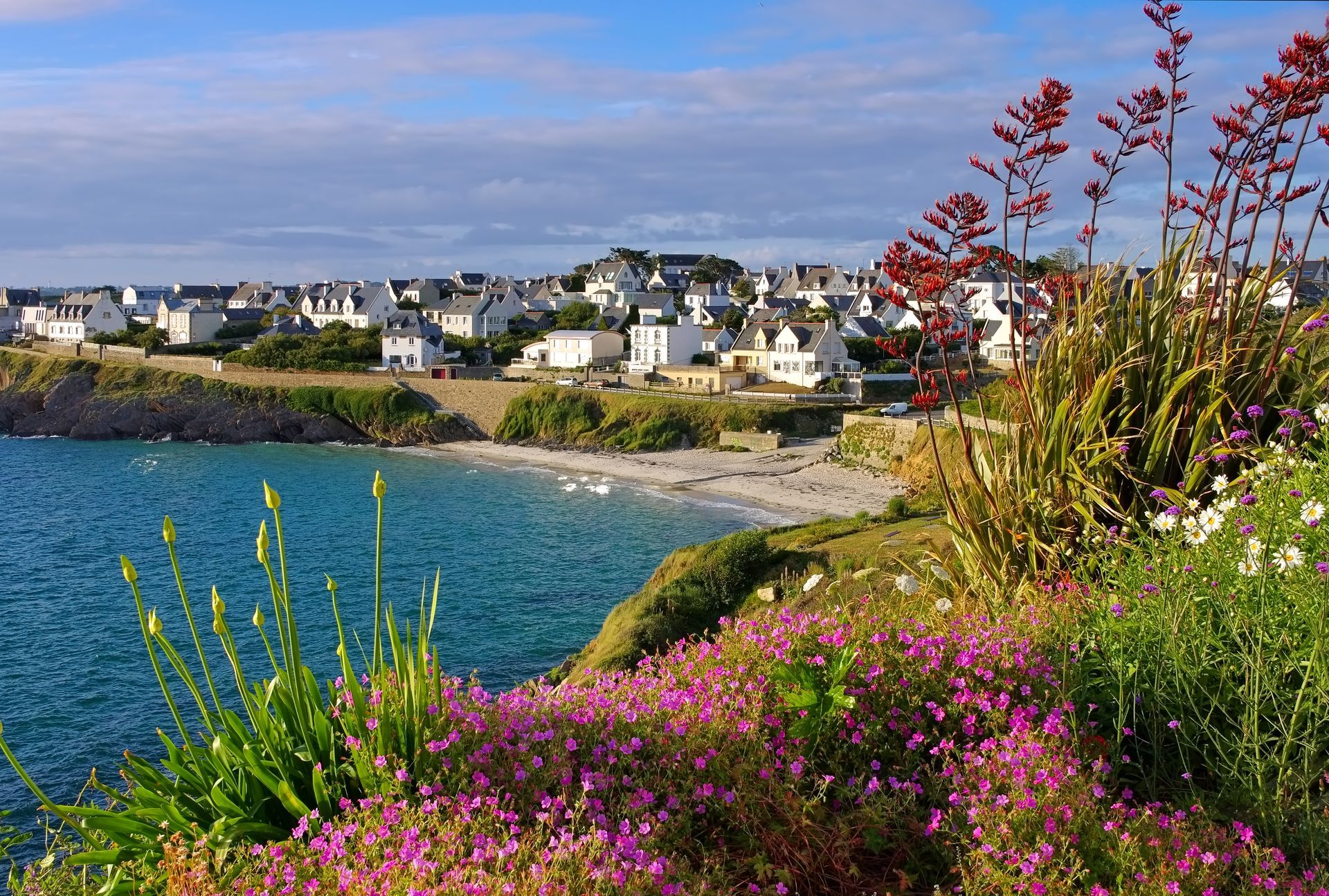 Vue d'une ville côtière : bâtiments blancs sur une falaise, plage en contrebas, océan, fleurs au premier plan, ciel clair.