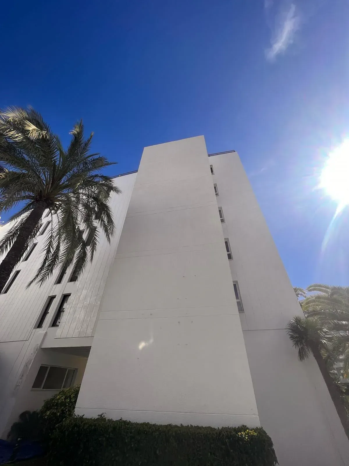 Un edificio alto y blanco con una palmera delante.