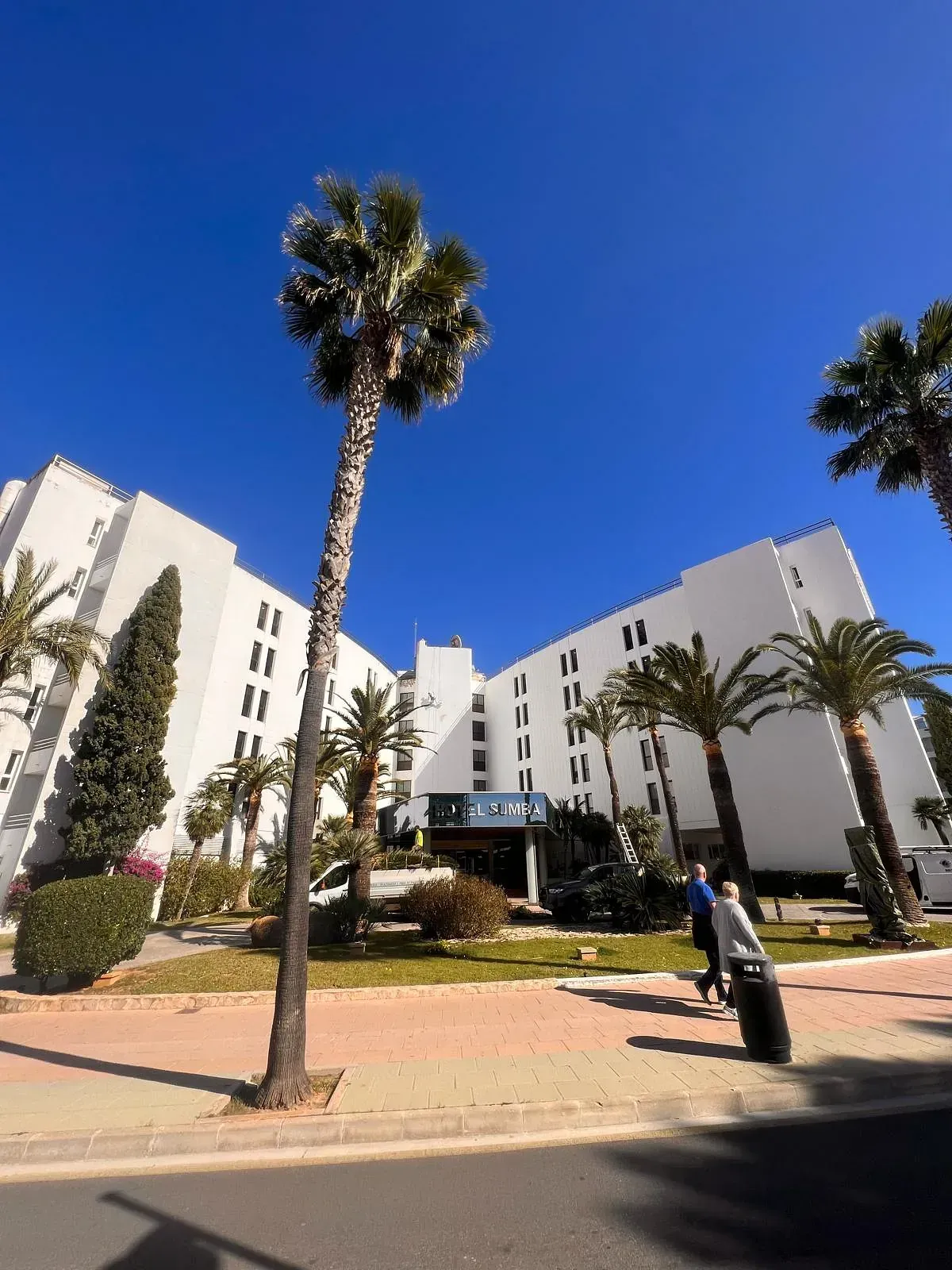 Un gran edificio blanco con palmeras delante.
