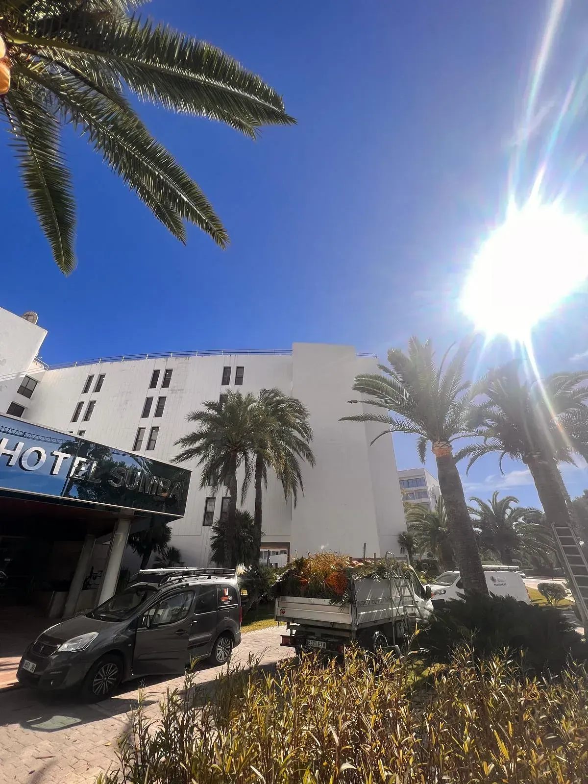 Un gran edificio blanco con palmeras delante.