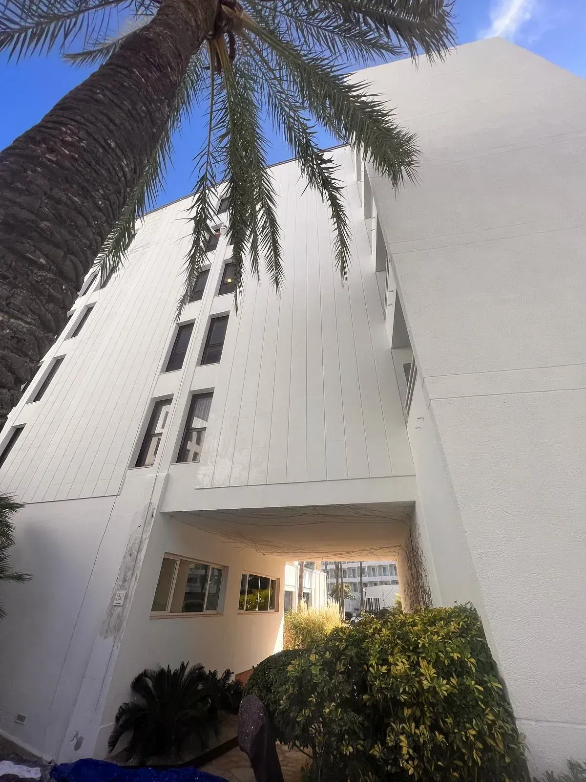 Un edificio blanco con una palmera delante.