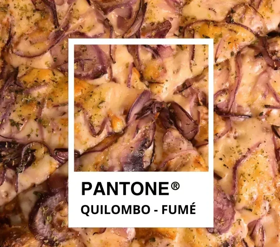 Pizza con cebolla y queso, color Pantone: Quilombo – Fumé.