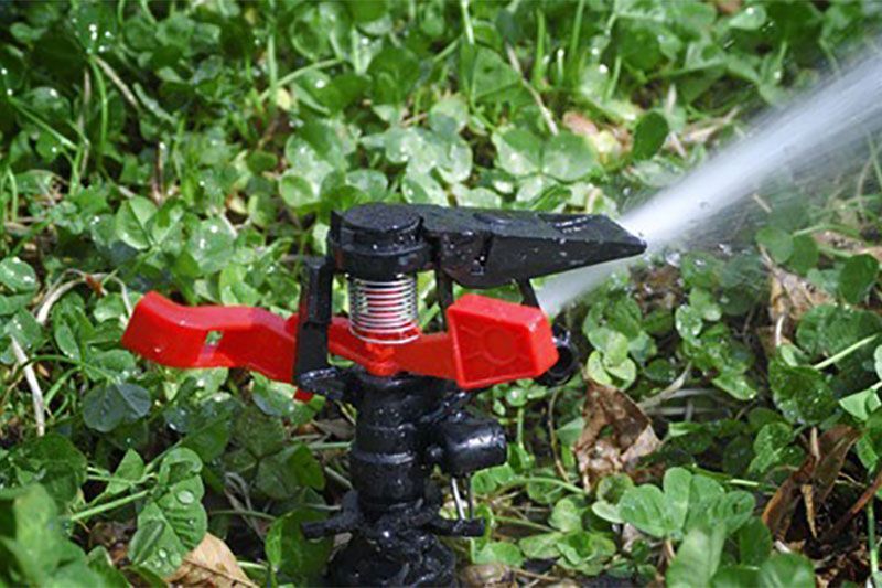 Un arroseur arrose du trèfle vert. L'arroseur est noir et rouge, et projette de l'eau dans l'air.