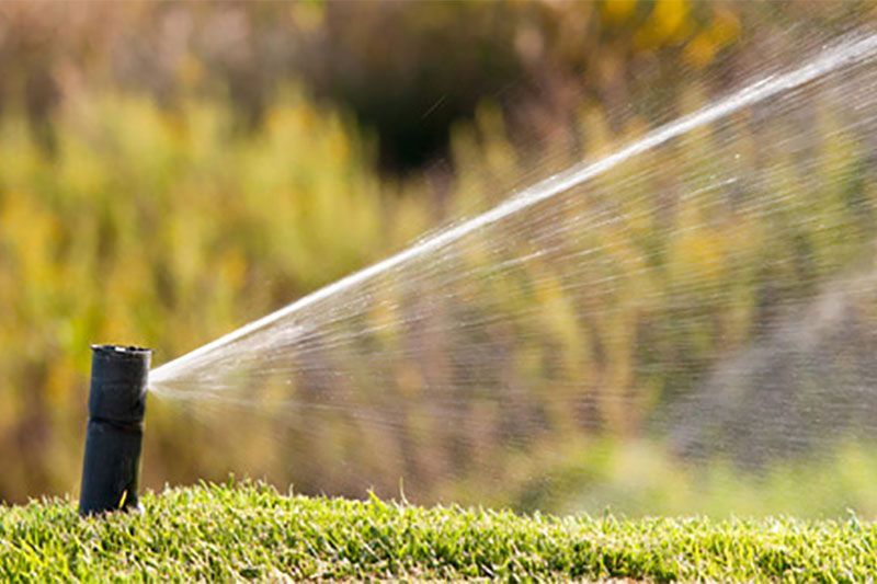 Un arroseur projette de l'eau sur de l'herbe verte, dans un champ, avec un arrière-plan flou.