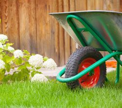 Brouette verte sur de l'herbe verte, à côté de fleurs blanches et d'une clôture en bois.