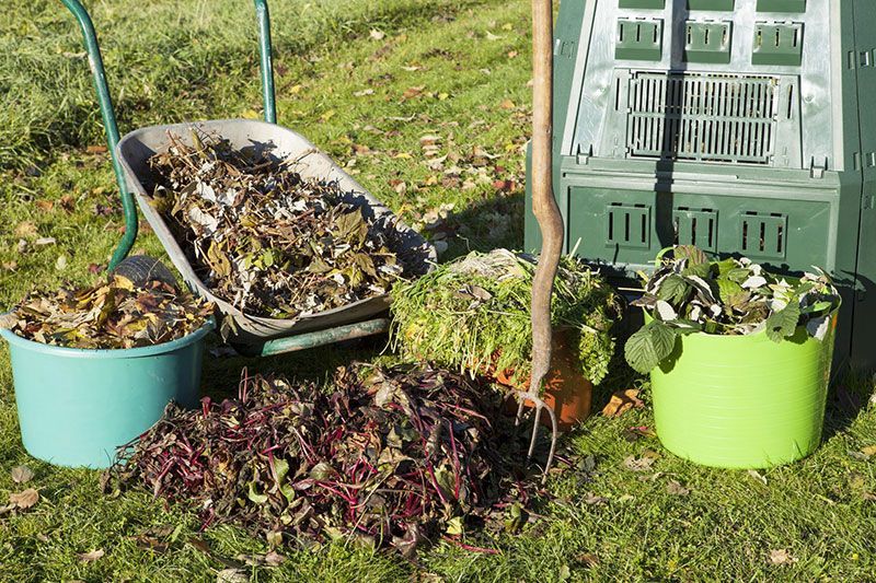 Brouette et seaux remplis de déchets de jardin près d'un bac à compost vert sur une pelouse.