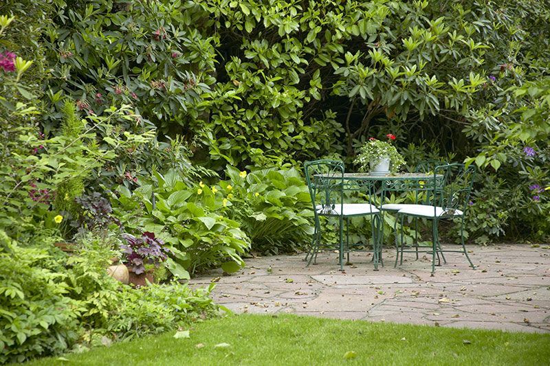 Une terrasse avec une table et des chaises vertes, entourée d'une végétation luxuriante.