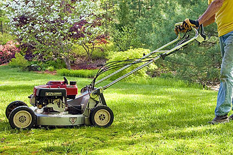Une personne tond une pelouse verte avec une tondeuse à essence dans un jardin ensoleillé.