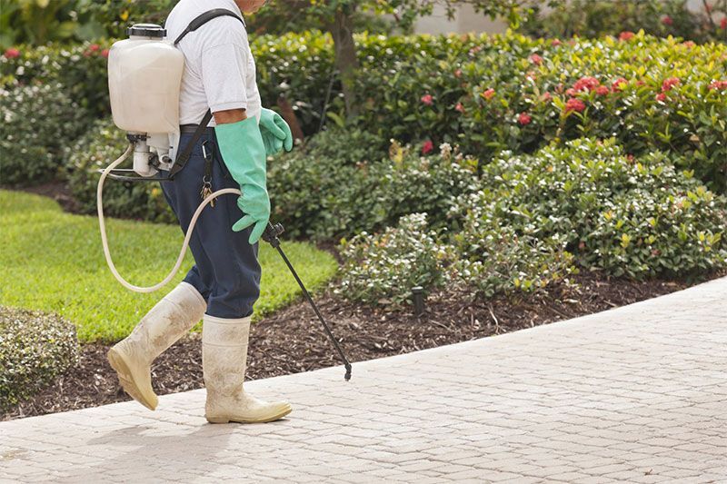 Personne pulvérisant une allée de jardin avec un pulvérisateur à dos, portant un équipement de protection.