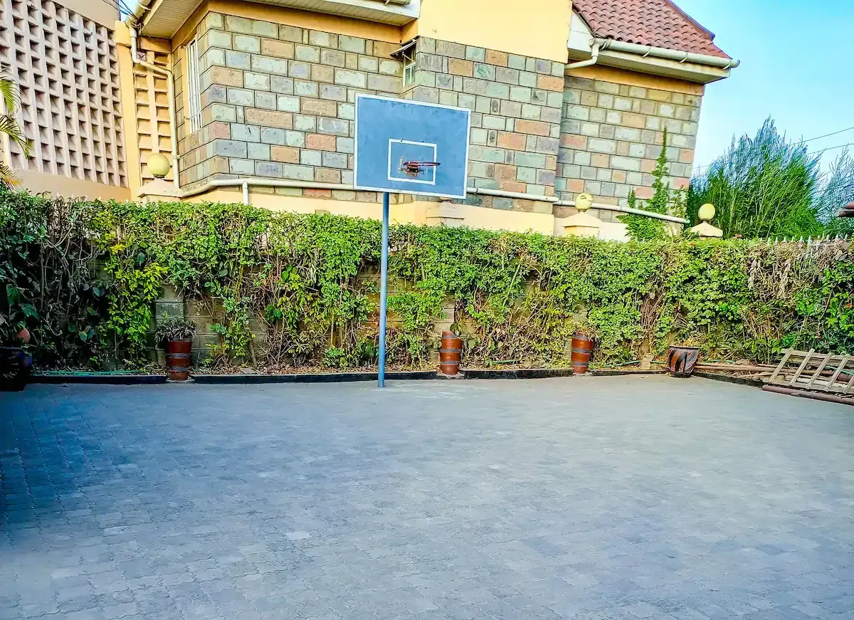 There is a basketball hoop in the backyard of a house.