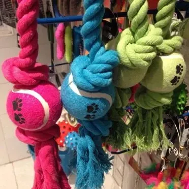 Un montón de juguetes para perros cuelgan de cuerdas en una tienda.