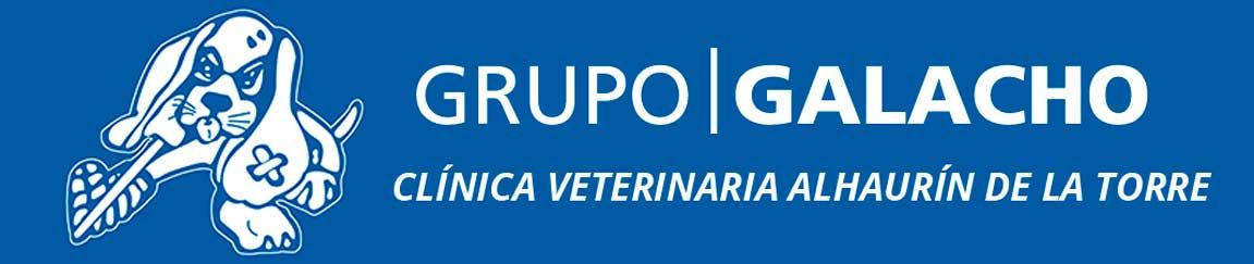 A blue logo for grupo galacho clinica veterinaria alhaurin de la torre