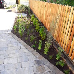 Einfahrt Bepflanzung