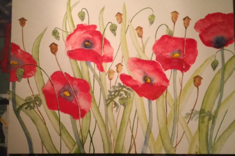 Aquarellmalerei von roten Mohnblumen mit grünen Stängeln und Blättern.