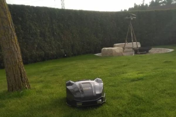 Mähroboter auf einer Wiese in einem Garten