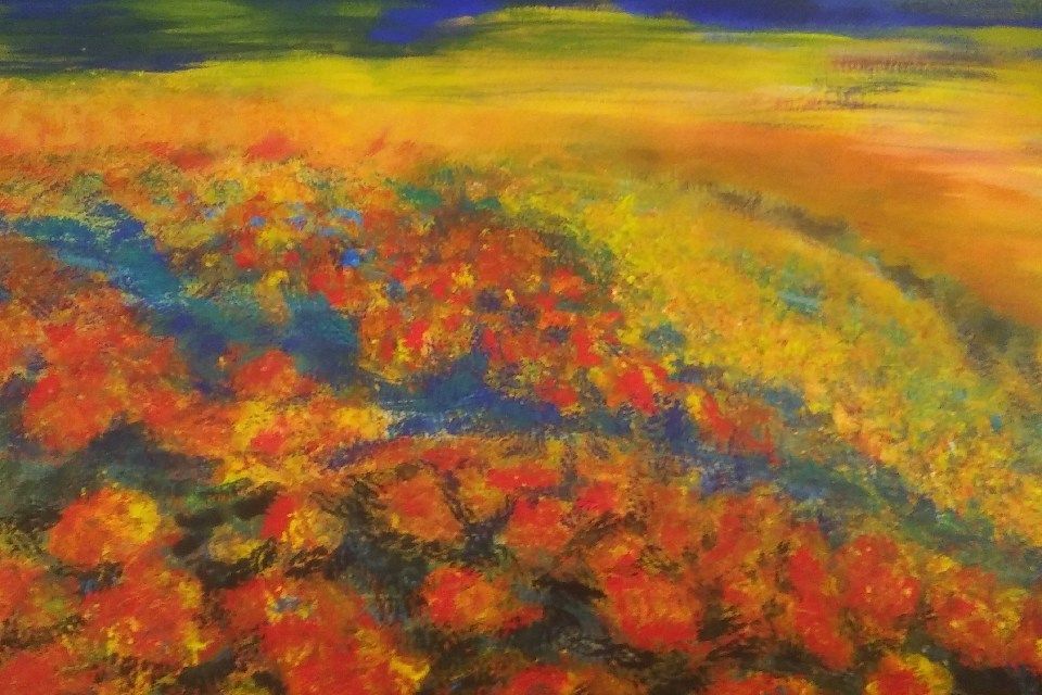 Ein Feld aus roten und orangen Blumen unter einem gelben und blauen Himmel.