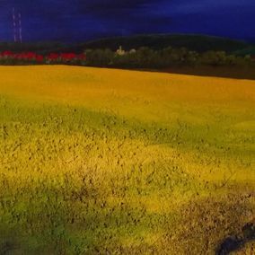 Gelbes Feld mit in der Ferne stehenden Bäumen unter dunkelblauem Himmel.