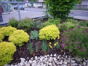 Garten an einer Straße