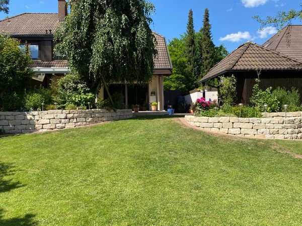 Gepflegter Garten mit vielen Blumen